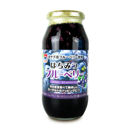 加藤美蜂園本舗はちみつブルーベリー650g