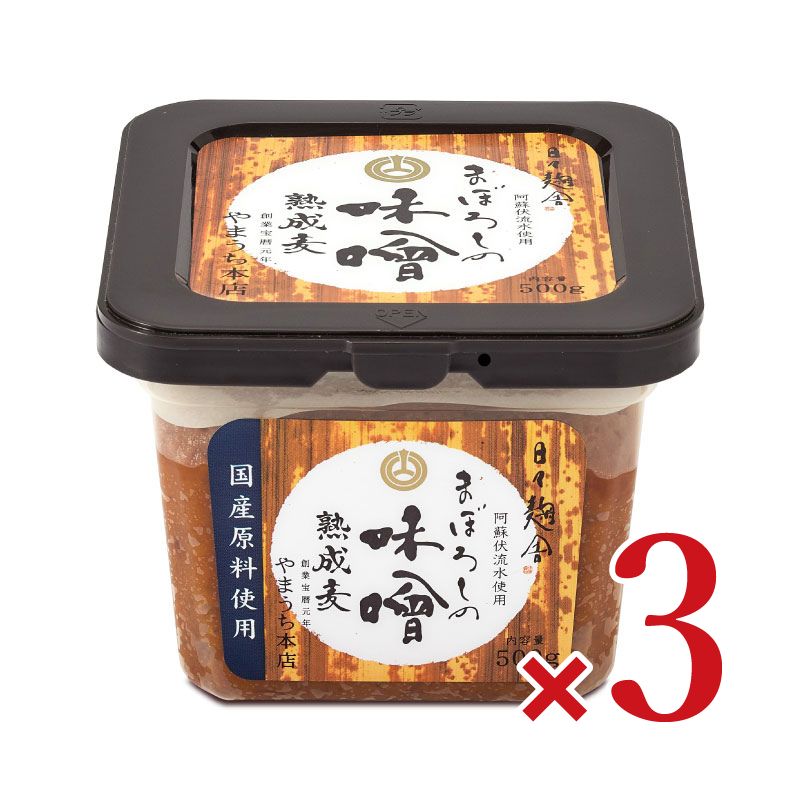 まぼろしの味噌 熟成麦 500g 山内本店 – にっぽん津々浦々｜本店