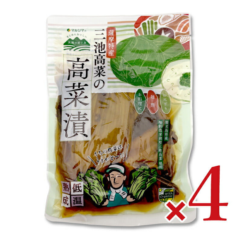 純正食品マルシマ 三池高菜の高菜漬け 250g