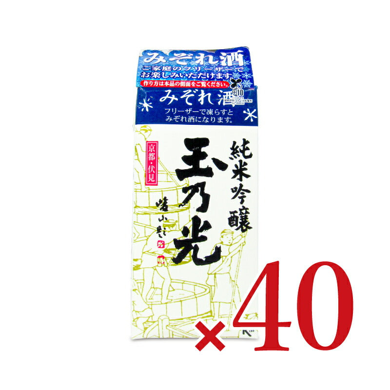 【10/30（月）24時間限定まとめ買い最大10%OFF】玉乃光酒造玉乃光純米吟醸青パック300ml×20個ケース販売