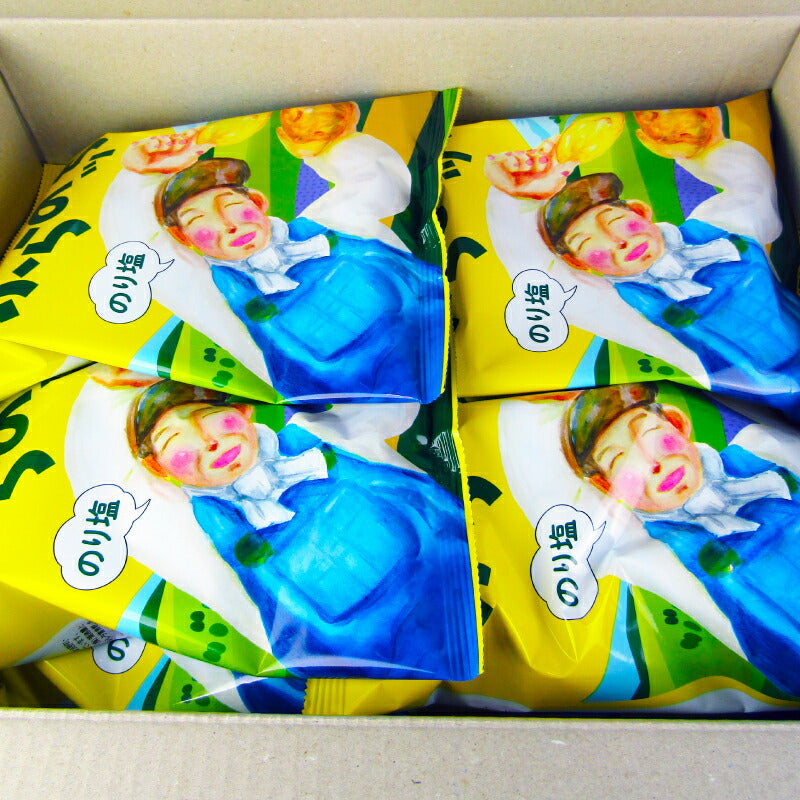 JAふらのふらのッちのり塩味60g×12個ケース販売