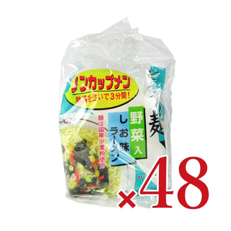【マラソン限定！最大2000円OFFクーポン！】トーエーどんぶり麺・しお味ラーメン78.5g×24袋ケース販売