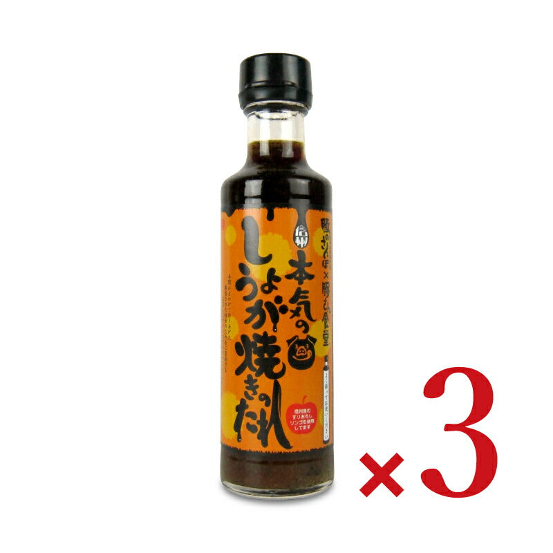 【最大2000円OFF!!楽天スーパーSALE】丸正醸造本気のしょうが焼きのたれ200ml