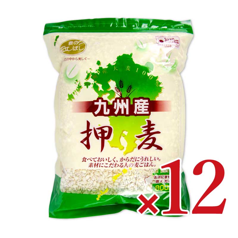石橋工業九州産押麦800g×12個セットケース販売