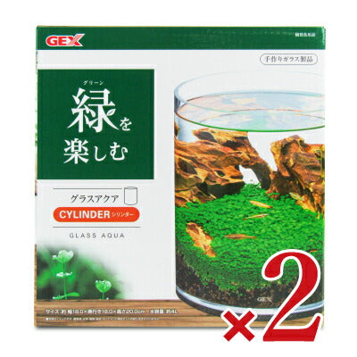 【マラソン限定！最大2000円OFFクーポン配布中】ジェックスグラスアクアリウムキャンドル水草インテリアガラス製