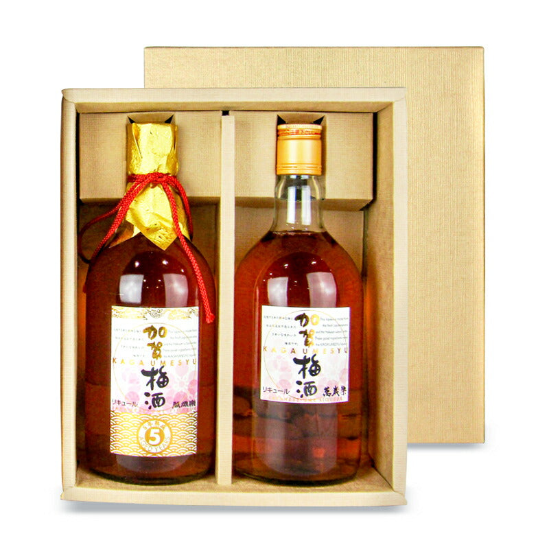 【マラソン限定！最大2000円OFFクーポン配布中！】《送料無料》小堀酒造店萬歳楽憩のひとときセット720ml1箱2本入飲み比べセット