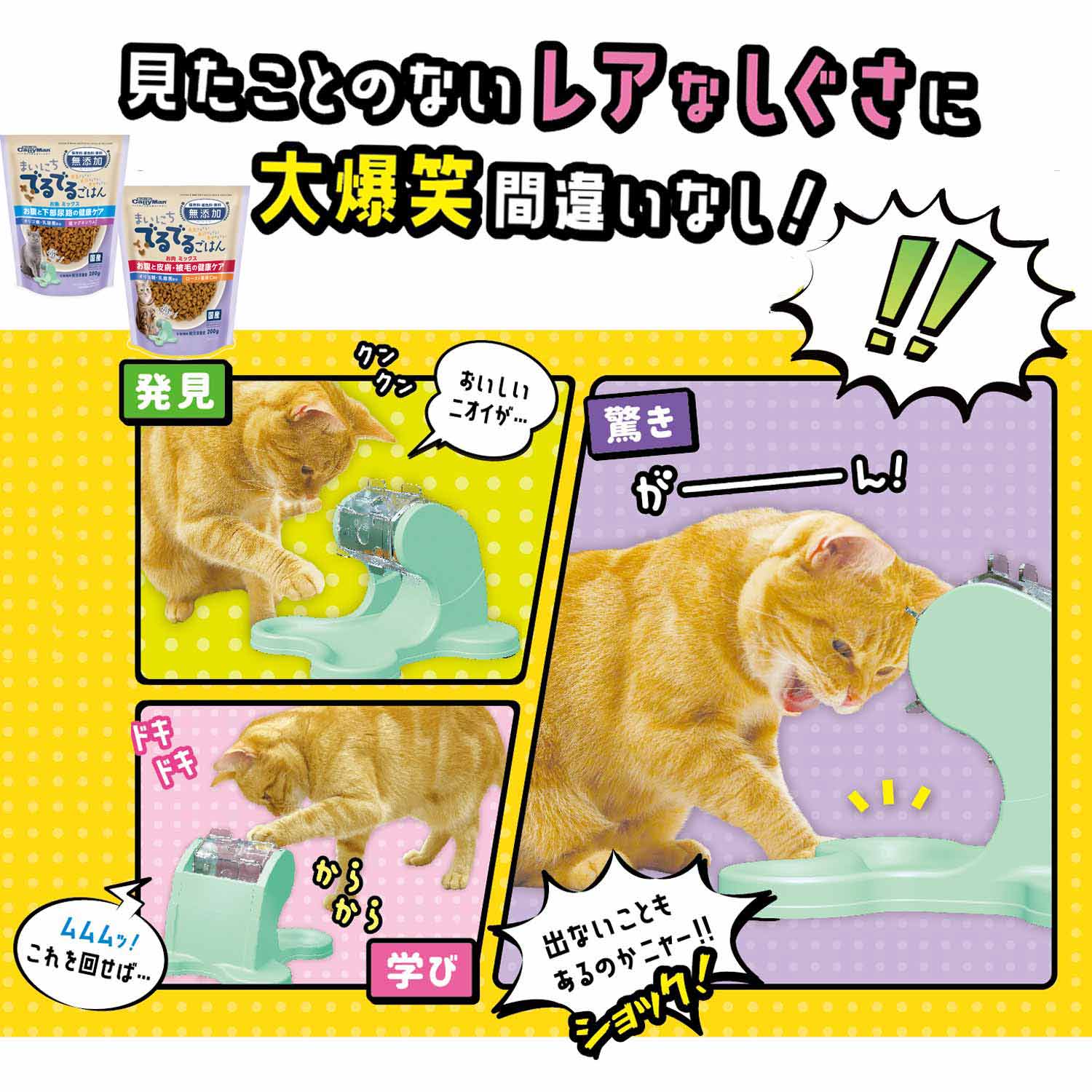 【マラソン限定!最大2000円OFFクーポン配布中!】ドギーマンハヤシにゃんこのでるでる自飯器スターターセット専用フード2個入り