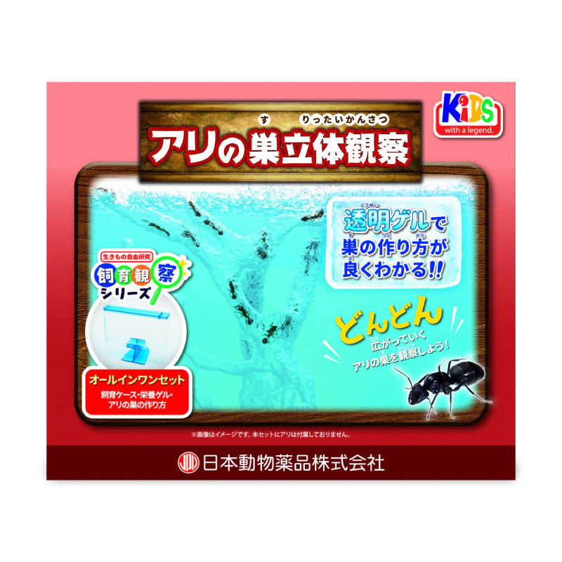 ニチドウ　アリの巣立体観察キット