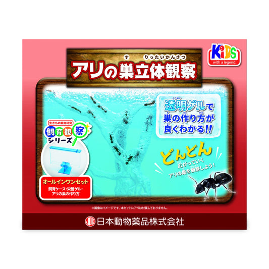 ニチドウ　アリの巣立体観察キット