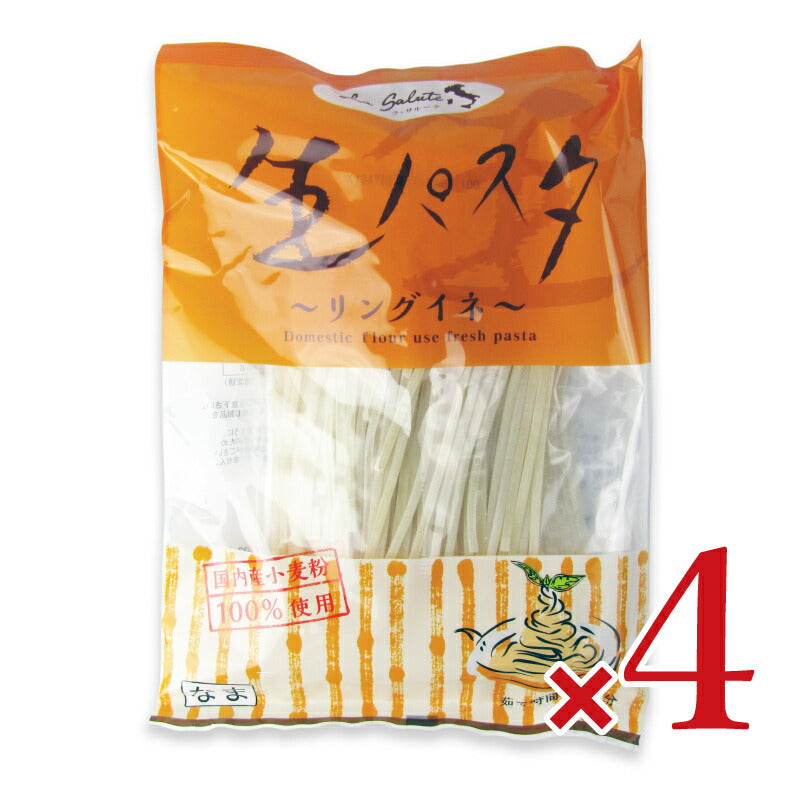 【マラソン限定!最大2000円OFFクーポン配布中!】本田商店国産生パスタリングイネ2食200g×4袋
