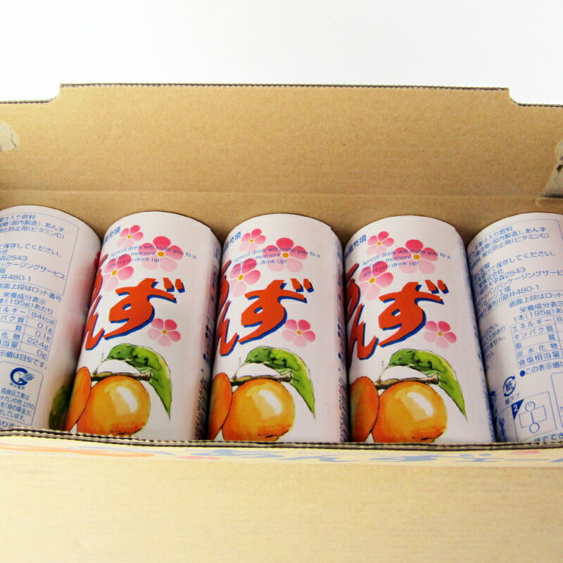 【マラソン限定!最大2000円OFFクーポン配布中!】《送料無料》森食品工業あんずエード195g×30個ケース販売