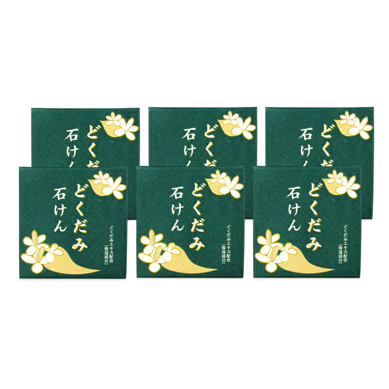 地の塩社 和の美肌石けんC（どくだみせっけん）100g – にっぽん