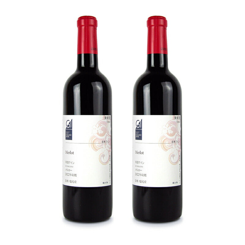 【マラソン限定！最大2000円OFFクーポン配布中！】《送料無料》井筒ワインGI長野認定品メルロー720ml×2本赤ワインミディアムボディ辛口