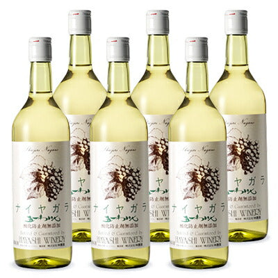 【最大2,000円OFFクーポン配布中！楽天スーパーSALE！】《送料無料》林農園五一わいんナイヤガラ白720ml×6本酸化防止剤無添加［白ワインやや甘口］【果実酒ワインお酒五一ワインナイアガラ日本信州桔梗ケ原】