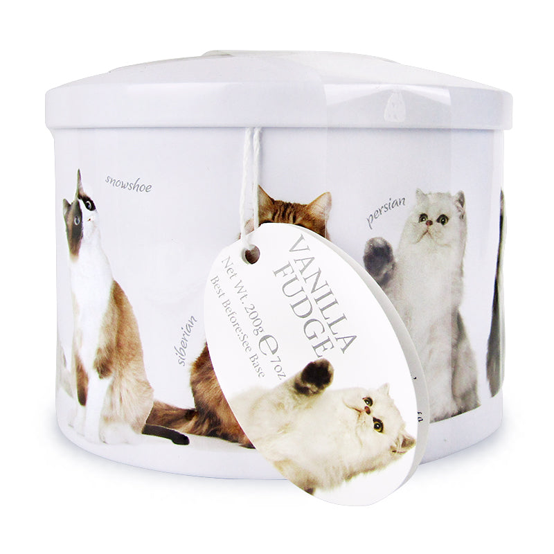 【最大2000円OFFクーポン配布中！楽天スーパーSALE】ガーディナーズキャット缶バニラファッジ200gキャンディ