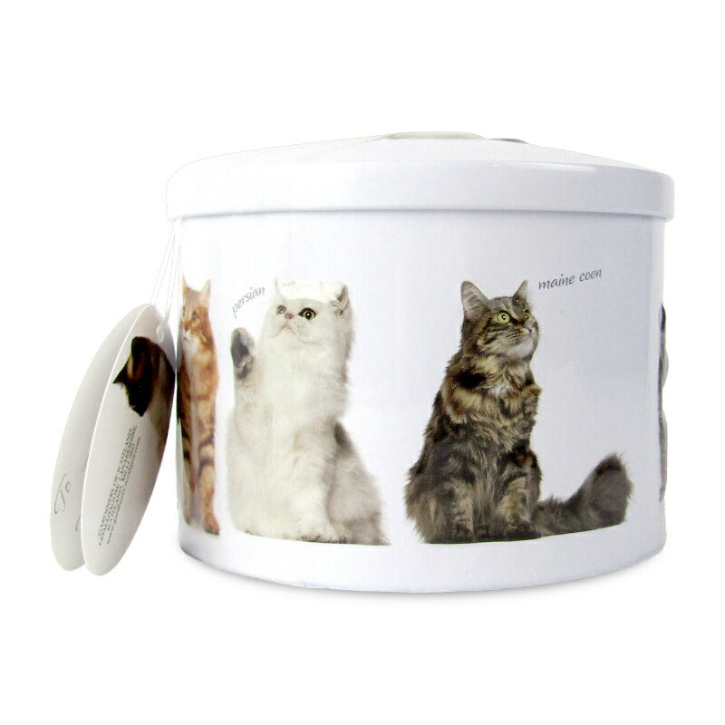 【最大2000円OFFクーポン配布中！楽天スーパーSALE】ガーディナーズキャット缶バニラファッジ200gキャンディ