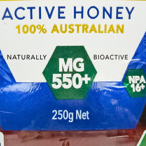 【マラソン限定！最大2,000円OFFクーポン配布中】明治屋カピラーノアクティブマヌカハニーMG550+250g