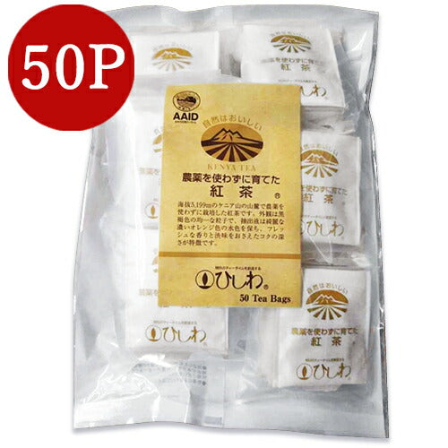 《メール便選択可》菱和園ひしわ農薬を使わず育てた紅茶ティーバッグ100g（2.2g×50袋）