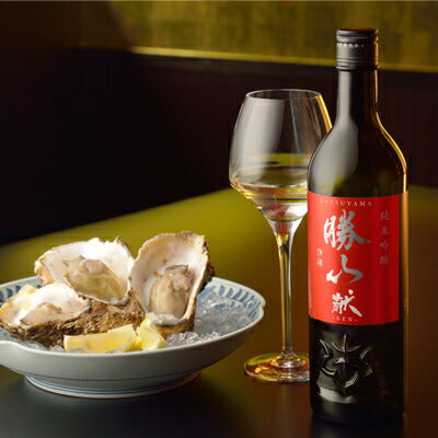 勝山純米吟醸献-KEN-720ml