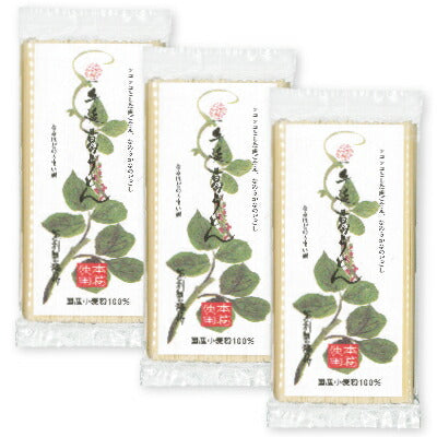 坂利製麺所手延べ葛うどん200g×3袋【にっぽん津々浦々】