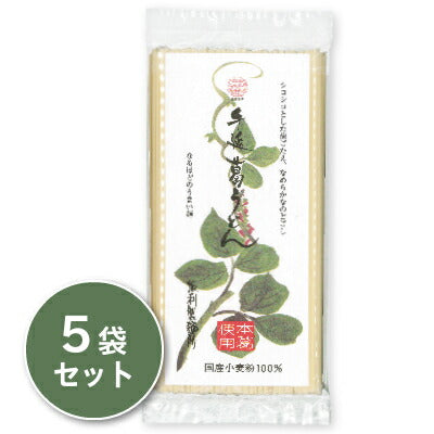 坂利製麺所手延べ葛うどん200g×5袋【にっぽん津々浦々】