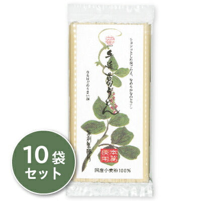 坂利製麺所手延べ葛うどん200g×10袋【にっぽん津々浦々】