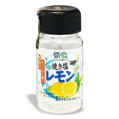 ミツイシ焼き塩レモン85g【にっぽん津々浦々】
