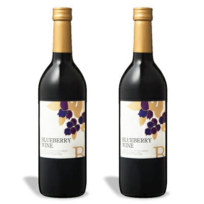 巨峰ワイナリーブルーベリーワイン720ml×2本