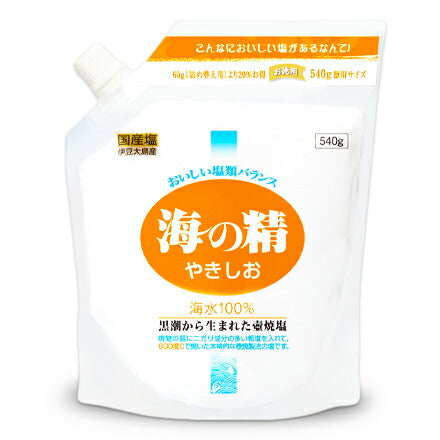 海の精やきしお540g【にっぽん津々浦々】