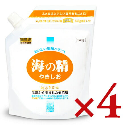 海の精やきしお540g×4袋【にっぽん津々浦々】