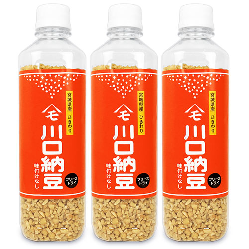 川口納豆乾燥納豆180g×3本セット《あす楽》