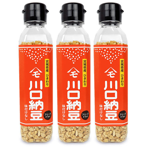 川口納豆乾燥納豆65g《あす楽》