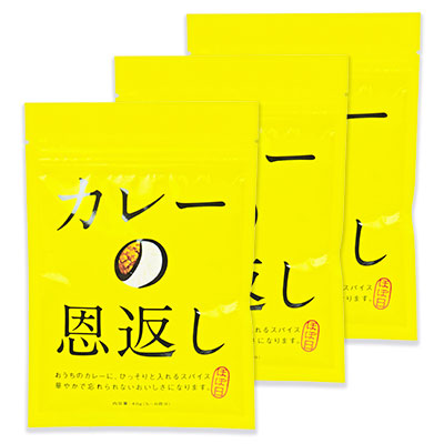 《メール便で送料無料》ほぼ日カレーの恩返し40g×3個《あす楽》