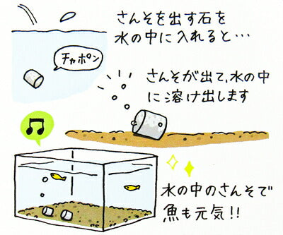 ニチドウさんそを出す石飼育用お徳用15個入りペット用品