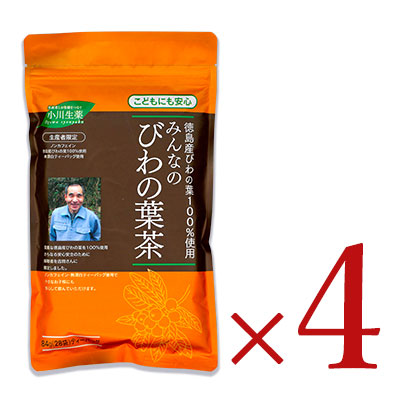 《送料無料》小川生薬みんなのびわの葉茶84g×28包ティーバッグ《あす楽》