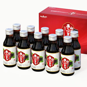佐幸本店 山のきぶどう 瓶 100ml × 10本 ケース販売 – にっぽん