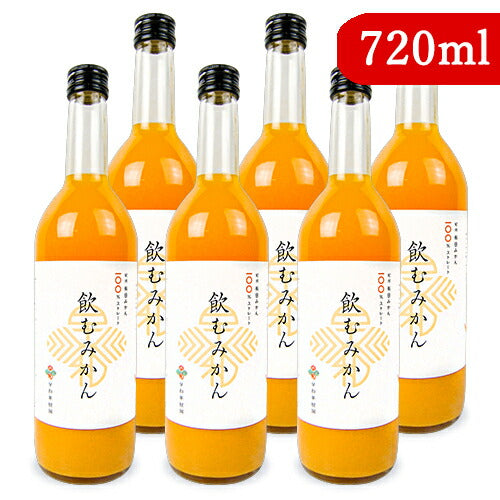 早和果樹園 飲むみかん 720ml 瓶 – にっぽん津々浦々｜本店