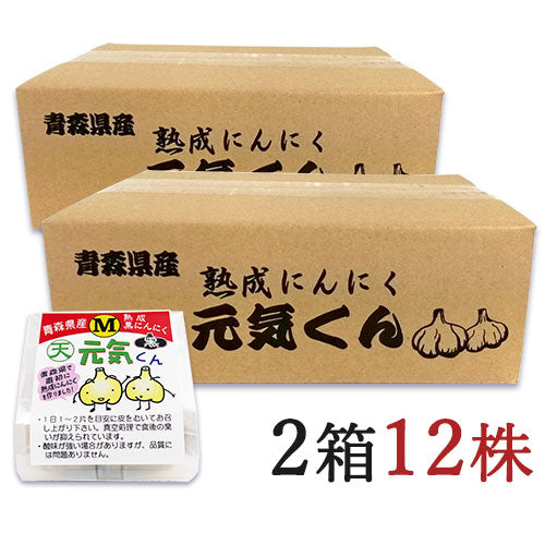天間林流通加工青森県産熟成黒にんにく元気くんMサイズ×6個入りケース販売