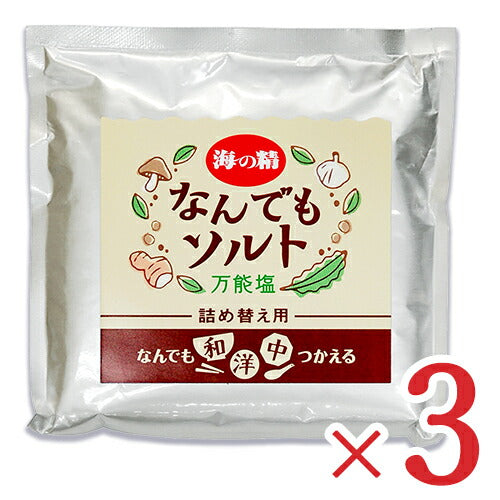 《メール便選択可》海の精なんでもソルト詰め替え用58g×3袋味付き塩