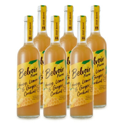 ユウキ食品 コーディアルハニーレモン＆ジンジャー 500ml